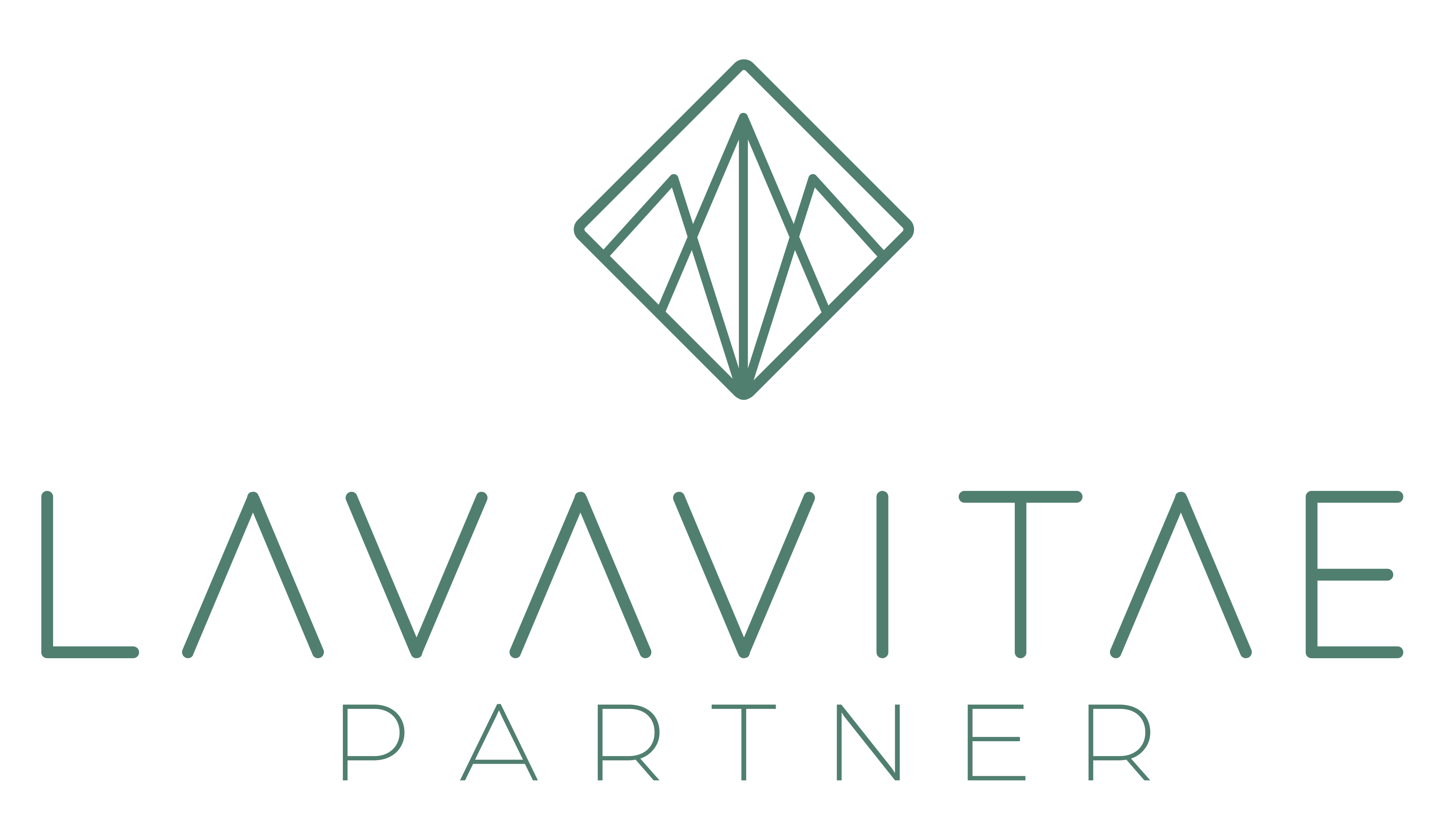 logo-lavavitae-partner-green2 LAVAVITAE