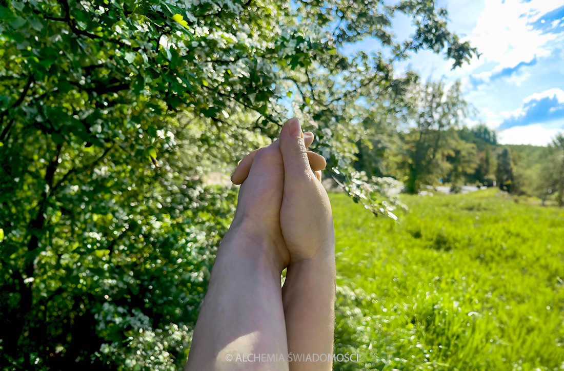 Alechamia Świadomości