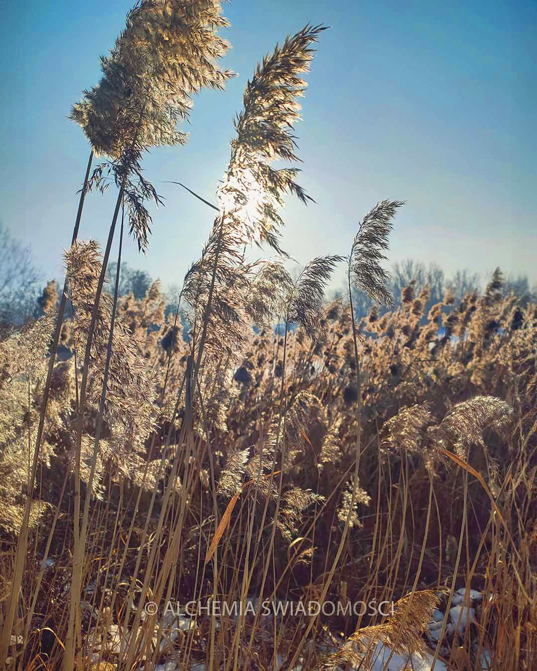 KAŻDEGO DNIA ZNAJDŹ KILKA CHWIL NA&nbsp;WYCISZENIE