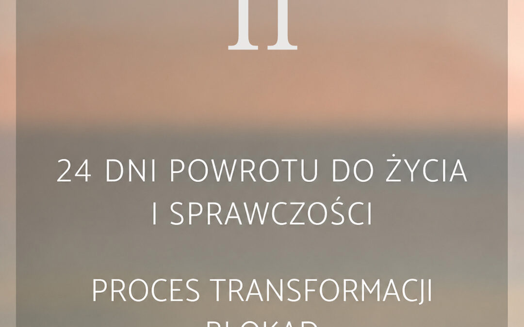 11 dzień – O&nbsp;RUCHU DO&nbsp;ŚMIERCI, jako powolnym oddalaniu się od&nbsp;życia. O&nbsp;tym, dlaczego przestajemy się cieszyć, marzyć, działać, kochać i&nbsp;sięgać po&nbsp;WIĘCEJ… Oraz&nbsp;jak odnaleźć w&nbsp;sobie odwagę, by&nbsp;powrócić do&nbsp;życia i&nbsp;zacząć budować własną przyszłość.